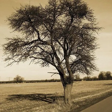 Fogadó Eichenkrug Groß Breese