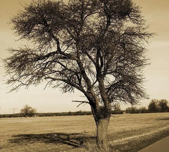 Inn Eichenkrug Gross Breese