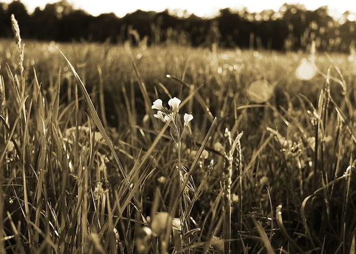 Inn Eichenkrug Gross Breese